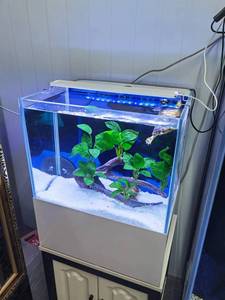 ชุดอุปกรณ์เริ่มต้นตู้ปลาขนาดเล็กตั้งโต๊ะที่สวยงามตู้ปลาพร้อมไฟ LED ทรงสี่เหลี่ยมผืนผ้าสำหรับใช้ในบ้านและปลากัดทอง - Product Image 6