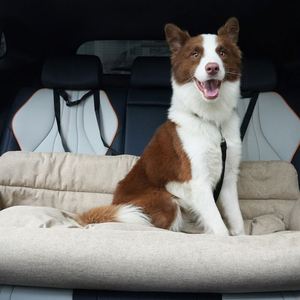 Cama de Transporte para Mascotas Grandes, Cama para Perros para Asiento Trasero de Coche, Cama Móvil y Desmontable para Perros, Cama de Viaje para Perros - Product Image 1