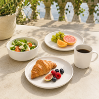 Service de table en grès classique de luxe beige mat 16 pièces, résistant à la chaleur, passe au lave-vaisselle, assiettes et bols, pour la maison, l'hôtel et le restaurant