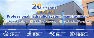 Cylindre hydraulique à double effet de 50 tonnes, course de 100 mm, haute capacité, avec pompe, marque Lejing - Product Image 5