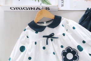 Vêtements pour bébés, vêtements d'automne pour enfants, ensembles de pantalons pour femmes, leggings et jupes fleuris pour filles, ensembles de Chine - Product Image 2