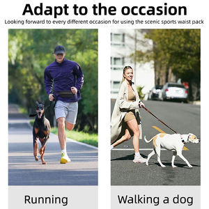 Correa de Lujo para Perros para Deportes al Aire Libre, Moderna y Resistente, con Riñonera Reflectante Multiusos, Talla Única, de Nailon - Product Image 4