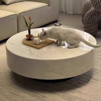 Ensemble Table Basse et Meuble TV Minimaliste Luxe Léger en Marbre pour Petits Salons – Meubles de Salon Style Nordique avec Rangement