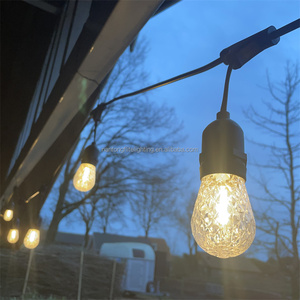 ديكور خارجي 1 واط/2 واط/4 واط بلاستيكي مقاوم للكسر E26 E27 S14 مصباح إضاءة Led حفل زفاف لضوء سلسلة الفناء - Product Image 6