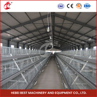 Cages pour poulets de chair entièrement automatiques de type A pour 20000 poulets de chair