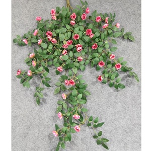 Vigne de roses artificielle And De Roses Arizona Wild Seven Pergolas Thornless Desert Eden Creeping That Training Decoration - Product Image 1