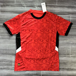 قميص كرة القدم المصري عالي الجودة 2526 الجديد للمنتخب الوطني، إصدار اللاعبين، نسخة تايلاندية للجنسين، للطقمين الأساسي والاحتياطي - Product Image 1