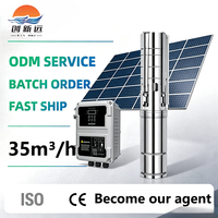 Service ODM – Pompe submersible solaire en acier inoxydable pour puits profond, 35 m/h, hauteur de refoulement 135 m, moteur DC, pour applications d'irrigation et agricoles