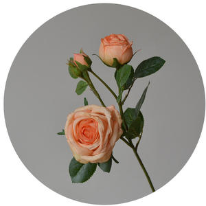 WFR262 5 têtes, bon <span class=keywords><strong>prix</strong></span>, fleur artificielle de rose à bord brûlé, rose vintage sèche, roses séchées et brûlées - Product Image 6