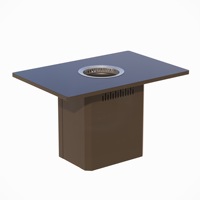 Table de cuisson à induction rectangulaire en acier inoxydable, style coréen, table de restaurant en libre-service sans fumée