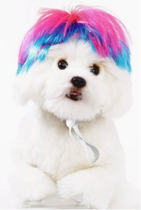 Peluca para mascotas, suministros para perros, accesorios para mascotas, pelo rizado, pelo liso, peluca para gatos - Product Image 4