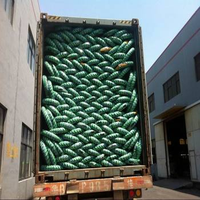 Pneus de voiture Double King Brand Haute qualité 185/65R15