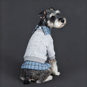 Ropa para Mascotas con Logotipo Personalizado, Abrigos, Chalecos y Camisas para Perros y Gatos, Estilo Casual, Todas las Temporadas, Venta al por Mayor - Product Image 2