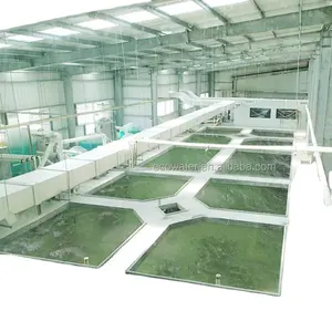 ECO nuovi sistemi di acquacoltura a ricircolo per gamberetti densità 50kg