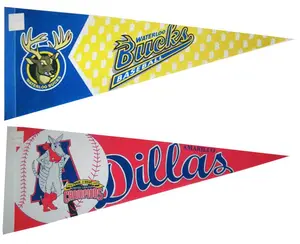 Custom Triangle Pennant Flag For Advertising And Promotional Events