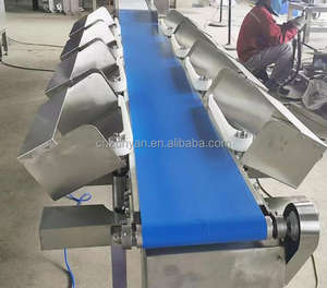 자동 전체 닭 무게 분류 기계 분류 기계 무게 등급 기계 컨베이어 벨트 분류 냉동 물고기 분류 - Product Image 2