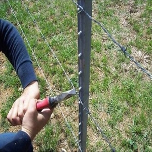 0.85lb/ft lumière Cloutés T Post sans chat aucune <span class=keywords><strong>peinture</strong></span> T Post pour clôture anti-érosion soutien - Product Image 5