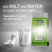 Lampe LED d'urgence alimentée par l'eau salée, portable, sans batterie, lumière de survie pour le camping, la randonnée, les pannes de courant