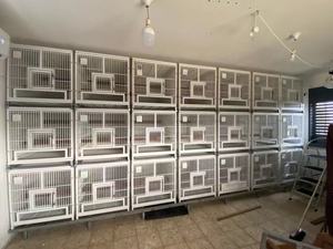 Toz kaplı kuş kafesleri Aeolus büyük açık kuş Aviary yürüyüş kafesleri geniş alan ile paslanmaz çelik XXL kafesleri - Product Image 3