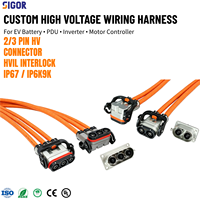 Harness Kabel Tegangan Tinggi Khusus Dengan Konektor HVSLS600 untuk Baterai EV, PDU, Inverter, Pengontrol Motor, Kendaraan Komersial