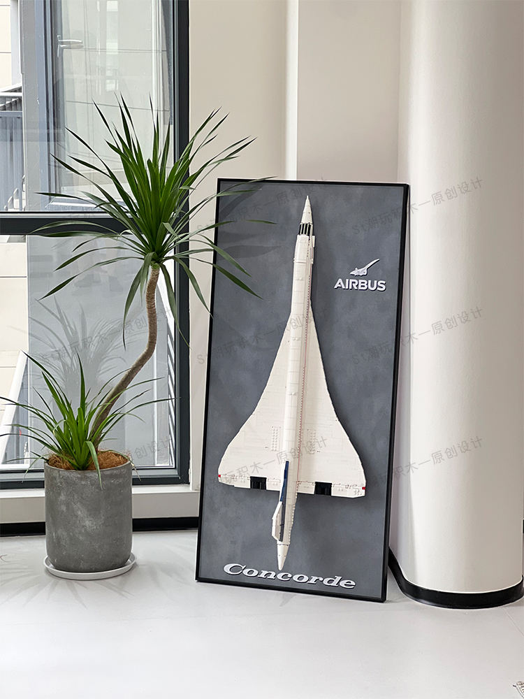 Concorde wall frame a (matte) does 55*115cm