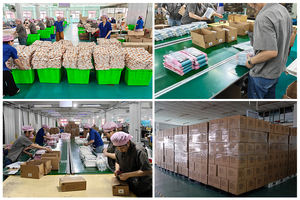 Cortina <span class=keywords><strong>de</strong></span> Ducha Blanca <span class=keywords><strong>de</strong></span> PEVA Directo <span class=keywords><strong>de</strong></span> Fábrica, Suministro Premium B2B para Cadenas <span class=keywords><strong>de</strong></span> Tiendas Minoristas, Supermercados, Importadores y Vendedores en Línea - Product Image 4