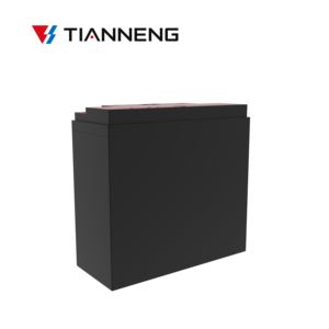 Tianneng TNE 12-25 دورة عميقة عامة 12 فولت 25ah e بطارية الرصاص الحمضية للدراجة - Product Image 5