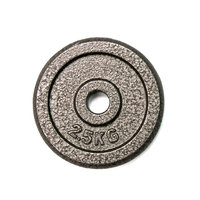 Grijze Dumbell Halterschijf Standaard 1 Inch Grijze Hammerton Gietijzeren Gewichtsplaten
