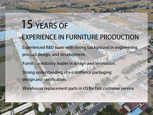 Venta Directa de Fábrica Nisco, Sofá de Tela Moderno de Dos Plazas y Sofá Cama con Patas de Madera, Cómodo y Duradero <span class=keywords><strong>para</strong></span> Dormitorios - Product Image 4