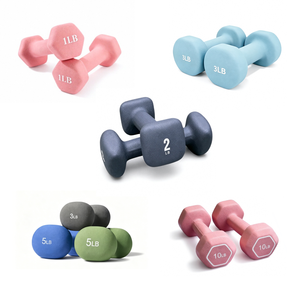 Venta Directa <span class=keywords><strong>de</strong></span> Fábrica <span class=keywords><strong>de</strong></span> Mancuernas <span class=keywords><strong>de</strong></span> Hierro Fundido Recubiertas <span class=keywords><strong>de</strong></span> Plástico Esmerilado Rong'an - Embalaje Personalizado Portátil para Ejercicio - Product Image 1