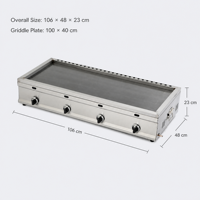 Nouvel Arrivage DanFuQi Plaque de Cuisson à Gaz Plate en Acier Inoxydable pour Burgers, Garantie 1 An, Nettoyage Facile, Silencieux
