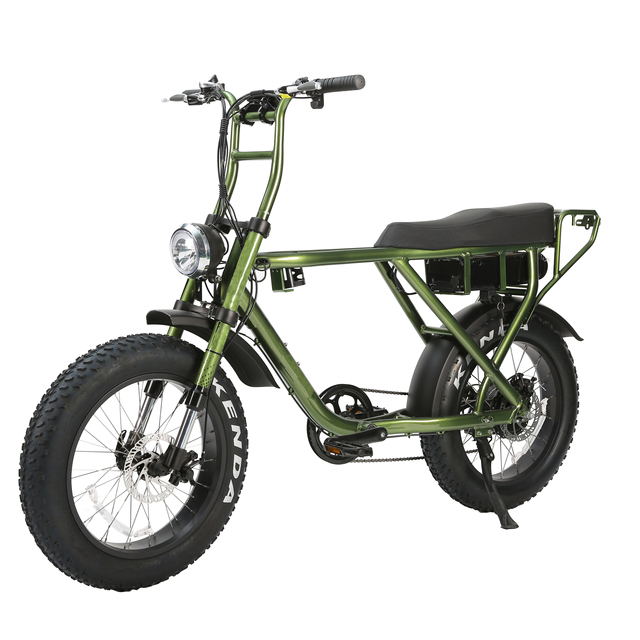 Wholesale Price High Quality Fat Tire Electric Bike Strong Performance Customize Application Brand Big Power Electric Bicycle