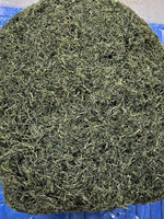 Fournisseur chinois de bandes de Wakame séchées Undaria Pinnatifida séchées en gros