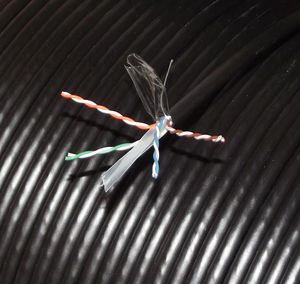 สาย<span class=keywords><strong>6A</strong></span> แมว <span class=keywords><strong>u</strong></span>/<span class=keywords><strong>utp</strong></span> สำหรับติดตั้งกลางแจ้งชั้นเดียว PE สีดำ305เมตร/รีลสำหรับวิดีโอระบบกล้องวงจรปิดระบบ IP ส่งด้วยเสียง - Product Image 6