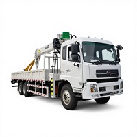 Grue télescopique montée sur camion de 8, 10 et 12 tonnes, personnalisée en usine