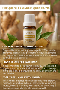Factory Supply Bulk Ginger Essential <b>Oil</b> Zingiber officinale Steam Distilled for Aromatherapy Cosmetics Skincare <b>Diffuser</b> - Product Image 4