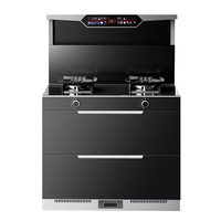 Cuisinière intégrée double brûleur à commande tactile en acier inoxydable avec hotte aspirante intégrée, allumage électronique, gaz naturel GPL