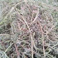 Daun Hyssop Kering, Daun Hyssopus Officinalis, Batang, Kemasan Besar, Bahan Baku Teh Herbal, Kering untuk Tincture/Sabun/Minyak Atsiri