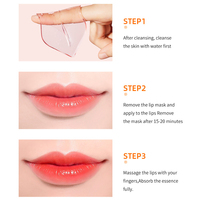 Masque Rose aux Essences Végétales pour les Lèvres Hydratant Éclaircissant Anti-Rides Élimine les Peaux Mortes Fourniture OEM