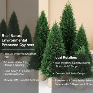 Árbol <span class=keywords><strong>de</strong></span> <span class=keywords><strong>Navidad</strong></span> Artificial Pequeño, Decoración Navideña <span class=keywords><strong>de</strong></span> Escritorio, Suministro al por Mayor - Product Image 3