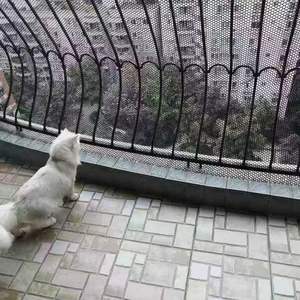 <span class=keywords><strong>Filet</strong></span> <span class=keywords><strong>de</strong></span> sécurité en maille plastique <span class=keywords><strong>pour</strong></span> fenêtre / <span class=keywords><strong>Filet</strong></span> <span class=keywords><strong>de</strong></span> <span class=keywords><strong>protection</strong></span> <span class=keywords><strong>pour</strong></span> <span class=keywords><strong>chat</strong></span> / <span class=keywords><strong>Filet</strong></span> <span class=keywords><strong>de</strong></span> sécurité <span class=keywords><strong>pour</strong></span> enfants <span class=keywords><strong>pour</strong></span> balcon - Product Image 1