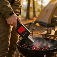 Ventilateur électrique pour barbecue, souffleur d'air portatif à piles, soufflette à charbon de bois, tuyau métallique pour grillades en extérieur
