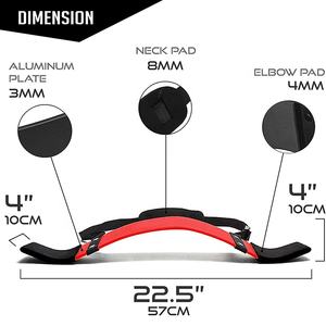 Ağırlık kaldırma kol Blaster Biceps Triceps kas gücü eğitim kazanç kıvırmak desteği izolatör Bicep Blaster - Product Image 2