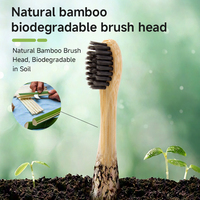 Brosse à dents électrique en bambou haut de gamme, design personnalisé, prix de gros, pour cadeaux d'entreprise et équipements hôteliers