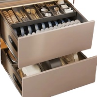 UZIA F85.5 Panier de rangement coulissant pour armoire de cuisine, double couche, en acier inoxydable, égouttoir à vaisselle, organisateur de bols, avec rail amortisseur