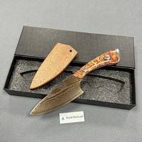 Pisau Dapur Kecil Chef BLTG01 Ultra Tajam dengan Gagang Resin Akrilik Full Tang, Baja Damascus VG10 67 Lapis, Dilengkapi Sarung Kayu