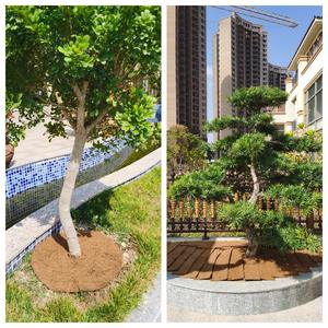 C74 Anneau de protection d'arbre écologique en fibre de coco naturelle, paillis en fibre de coco pour <span class=keywords><strong>pot</strong></span> de plante et couverture de sol de jardin - Product Image 6