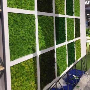De tacto <span class=keywords><strong>real</strong></span> de césped <span class=keywords><strong>artificial</strong></span> moss panel plantas - Product Image 5