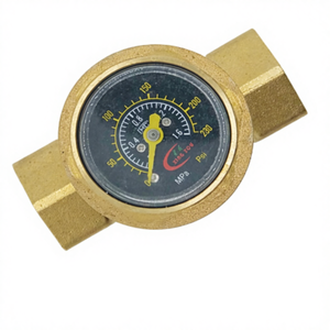 Vanne de régulation de <span class=keywords><strong>pression</strong></span> réglable pour <span class=keywords><strong>chauffe</strong></span>-<span class=keywords><strong>eau</strong></span> et purificateurs d'<span class=keywords><strong>eau</strong></span> domestiques - Product Image 1