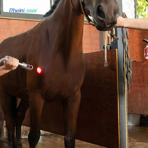 Macchina veterinaria cura diodo Laser terapia macchina 810nm 980nm Vet fisioterapia per alleviare il dolore - Product Image 5